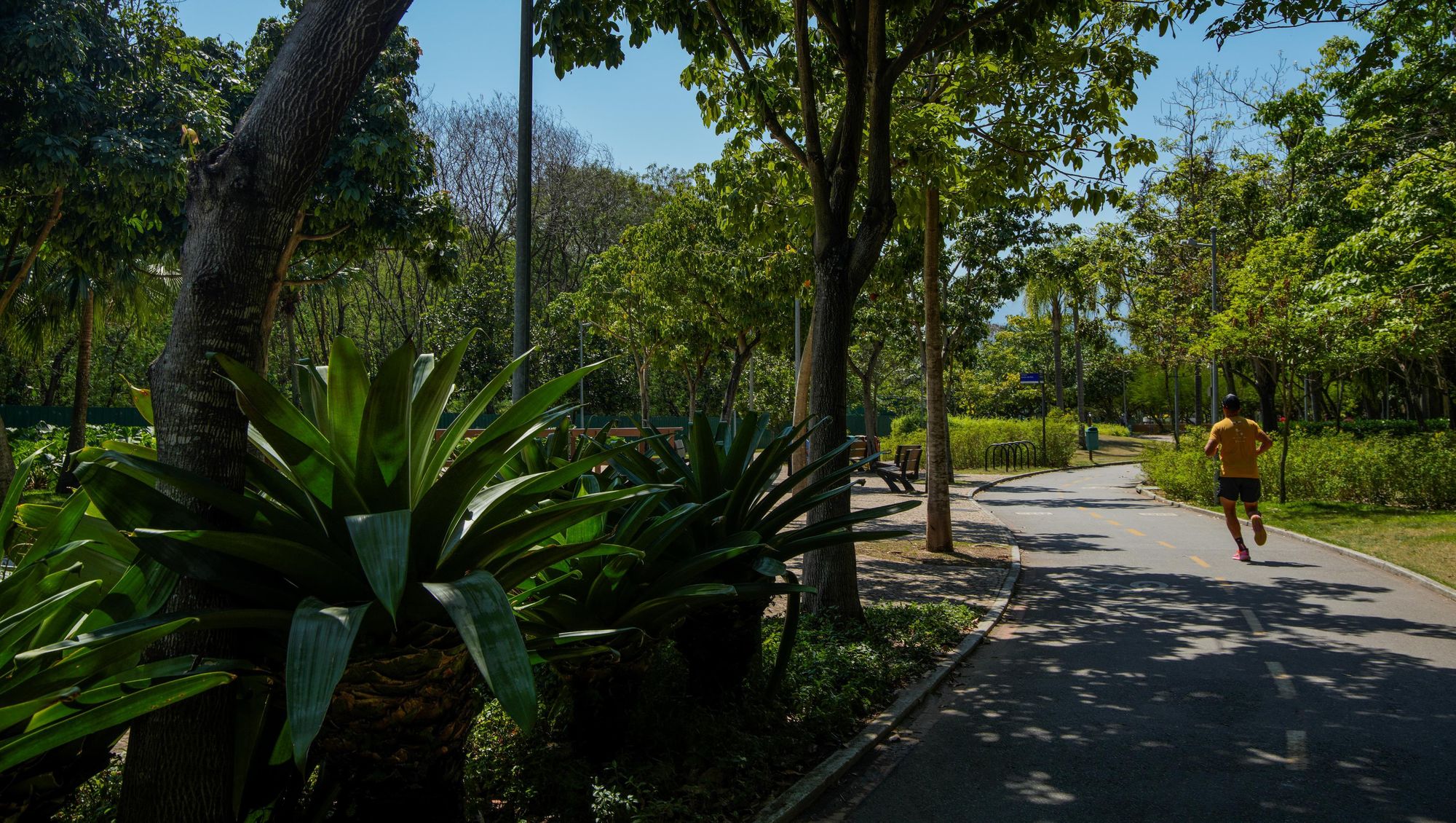 Parque Linear
